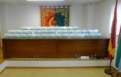 Placas Profesionais identificativas