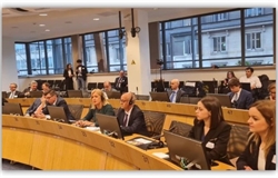 Sesión de trabajo de European Economic and Social Committee (Consejo General)