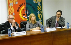 Procedimiento Laboral (IV Ponencia)