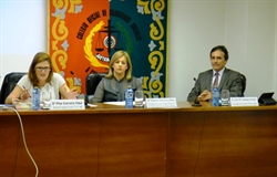 Procedemento Laboral (V Relatorio)