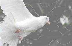 2 de outubro, Día Internacional da Non Violencia