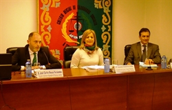 Procedimiento Laboral (VIII Ponencia)