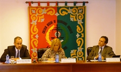 Procedimiento Laboral (II Ponencia)